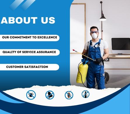 About-Us