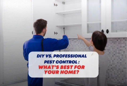 What’s Best for Your Geelong Home?